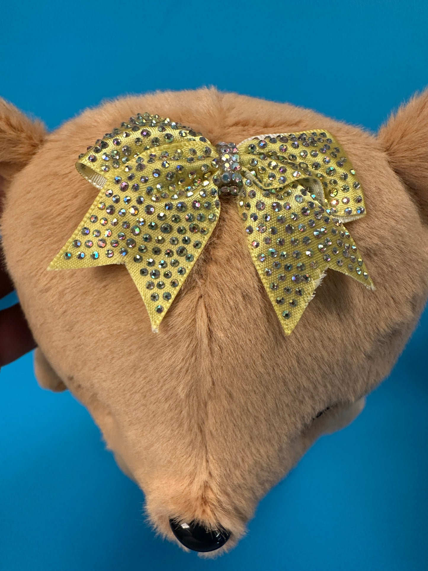 PRE-ORDER ONLY Large Cheer Bear - 12 Inch Cheer Bear customized with your name on the chest