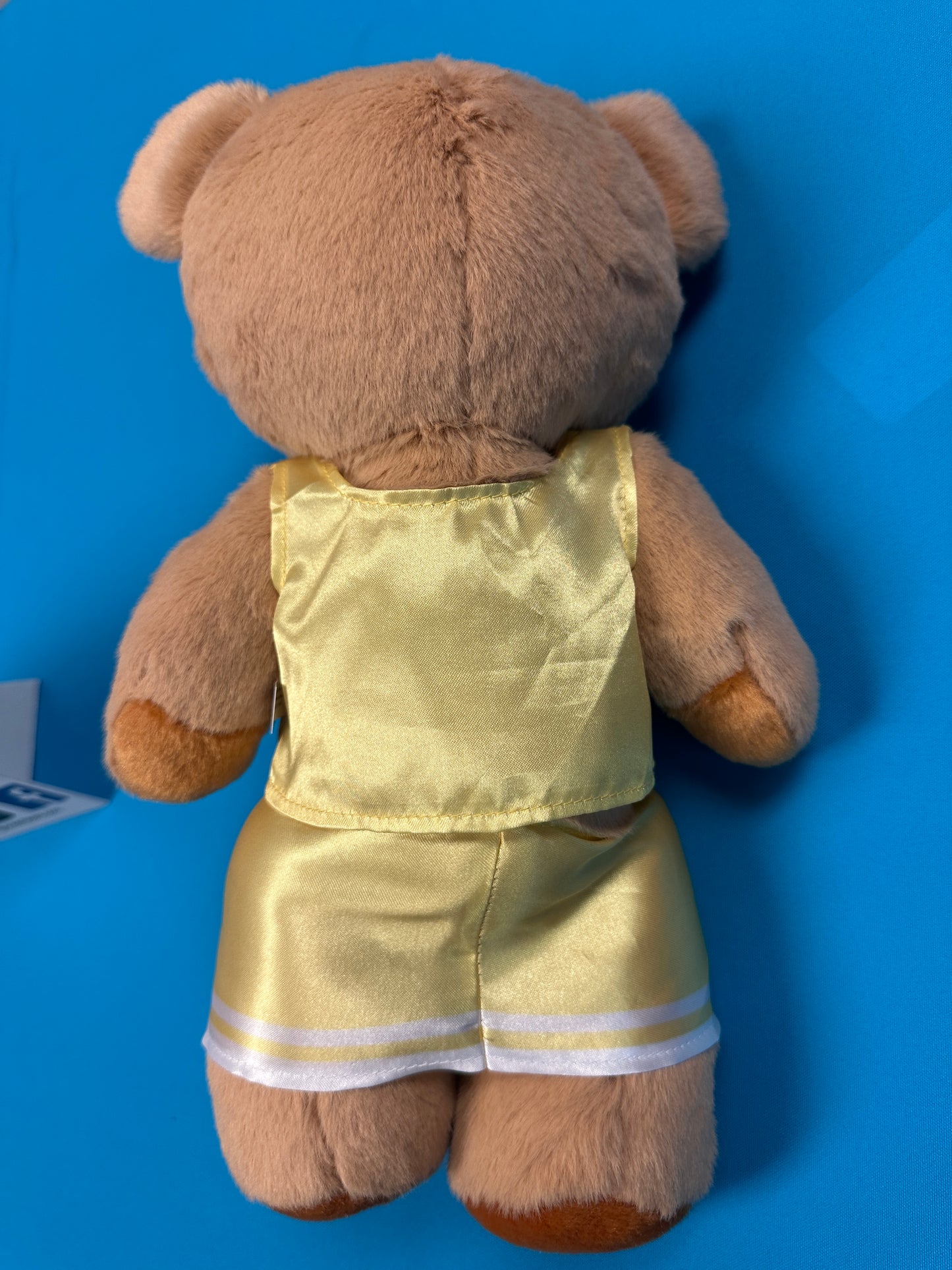 PRE-ORDER ONLY Large Cheer Bear - 12 Inch Cheer Bear customized with your name on the chest