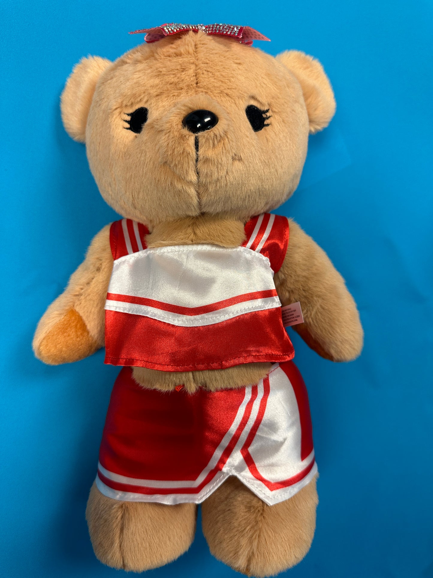 PRE-ORDER ONLY Large Cheer Bear - 12 Inch Cheer Bear customized with your name on the chest