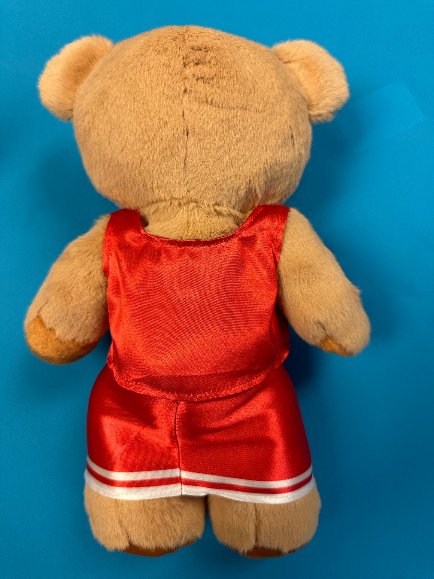 PRE-ORDER ONLY Large Cheer Bear - 12 Inch Cheer Bear customized with your name on the chest