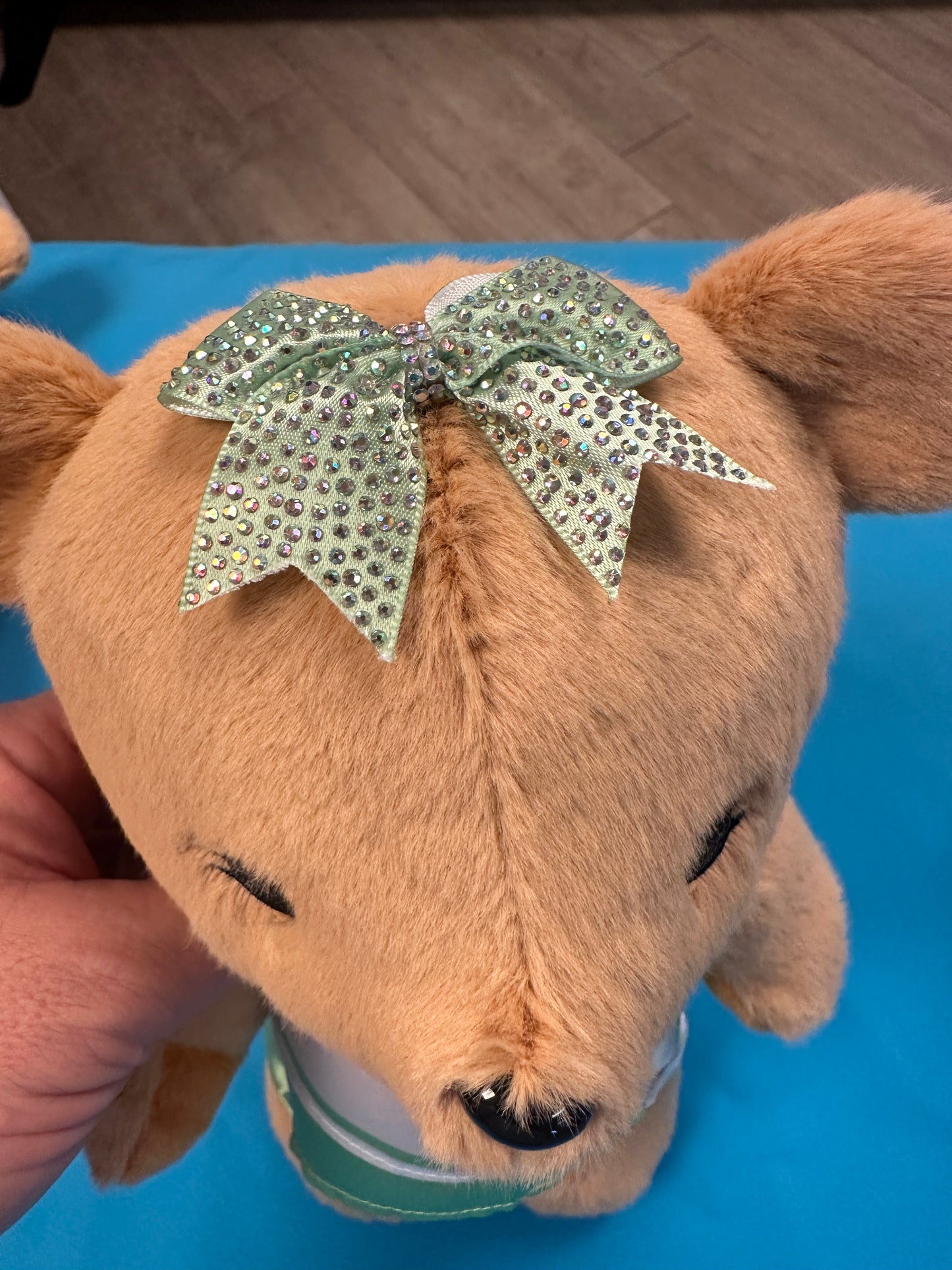PRE-ORDER ONLY Large Cheer Bear - 12 Inch Cheer Bear customized with your name on the chest