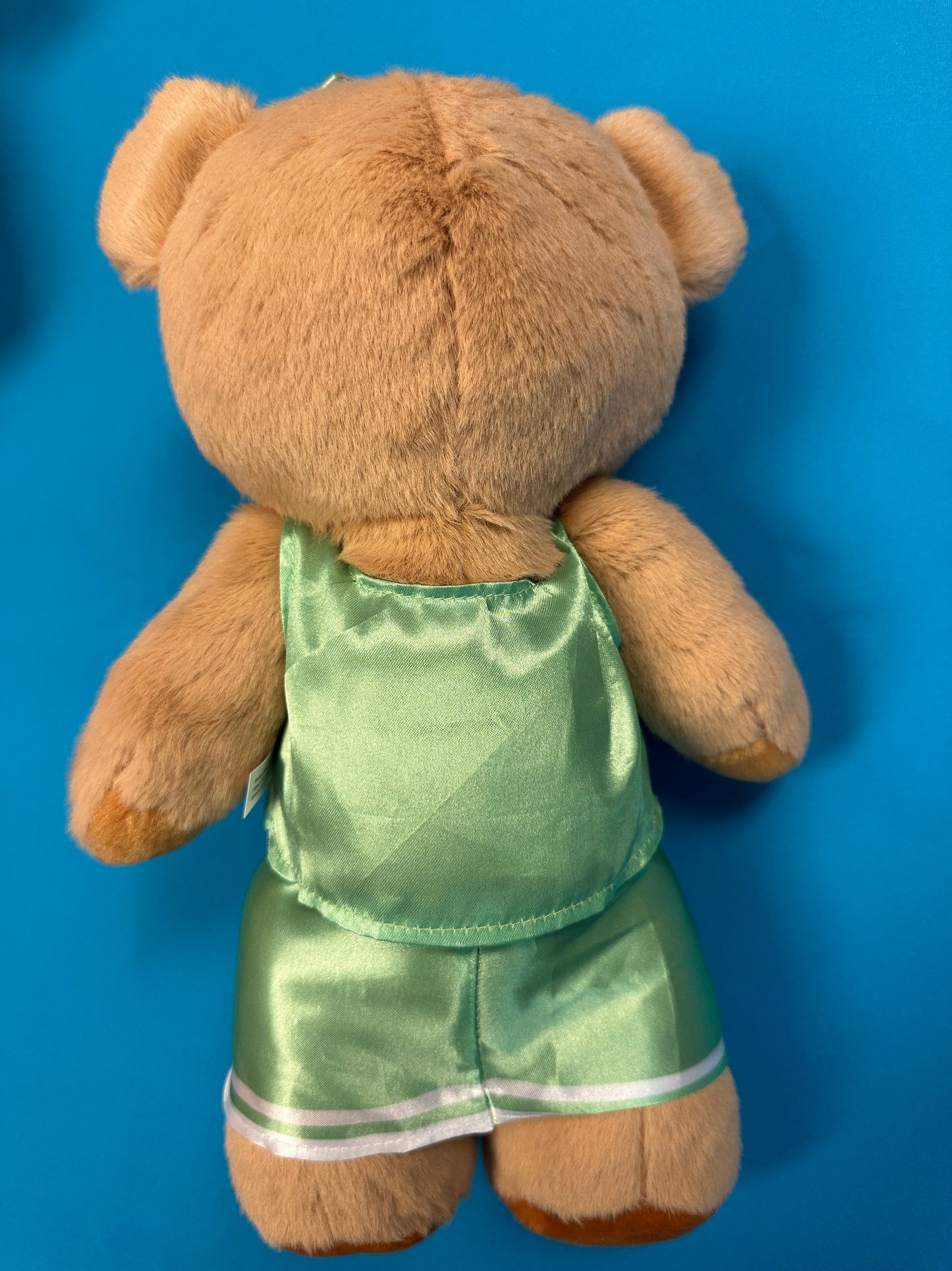 PRE-ORDER ONLY Large Cheer Bear - 12 Inch Cheer Bear customized with your name on the chest