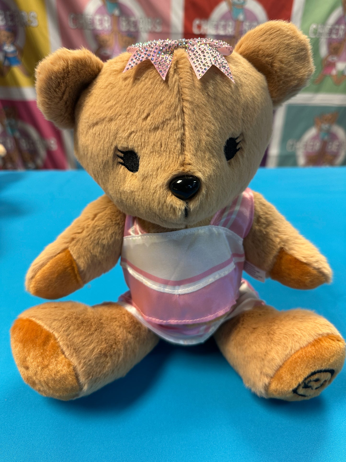 PRE-ORDER ONLY Large Cheer Bear - 12 Inch Cheer Bear customized with your name on the chest