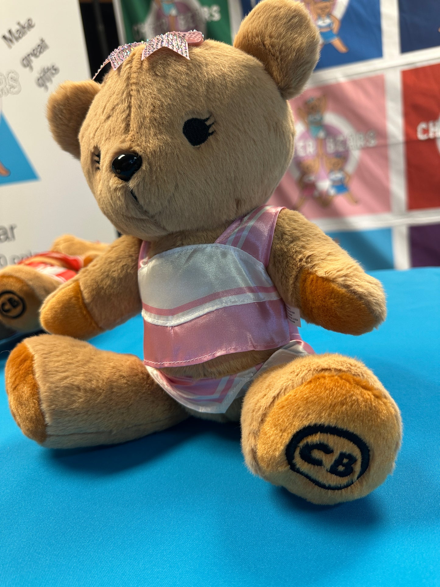 PRE-ORDER ONLY Large Cheer Bear - 12 Inch Cheer Bear customized with your name on the chest