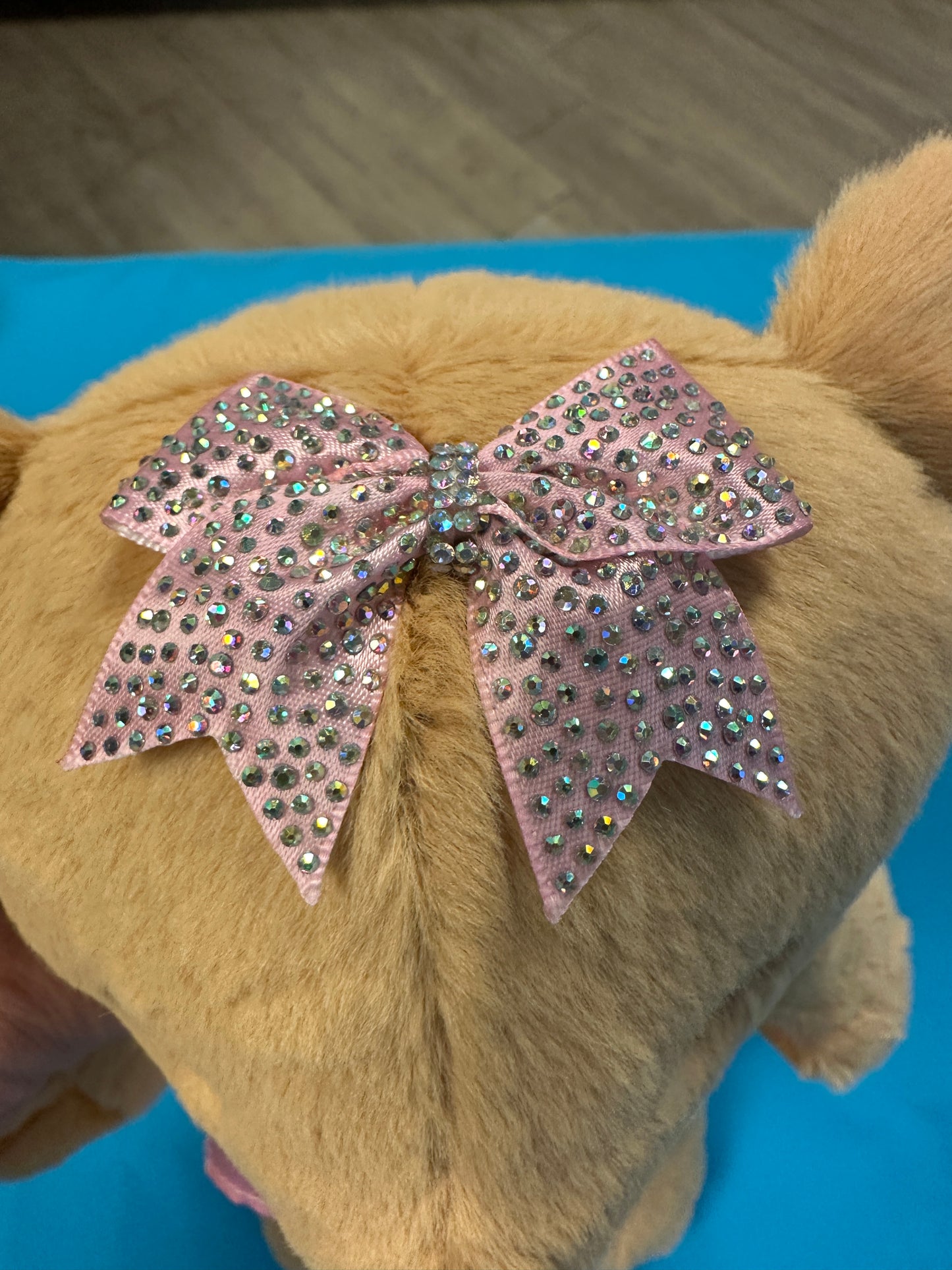 PRE-ORDER ONLY Large Cheer Bear - 12 Inch Cheer Bear customized with your name on the chest