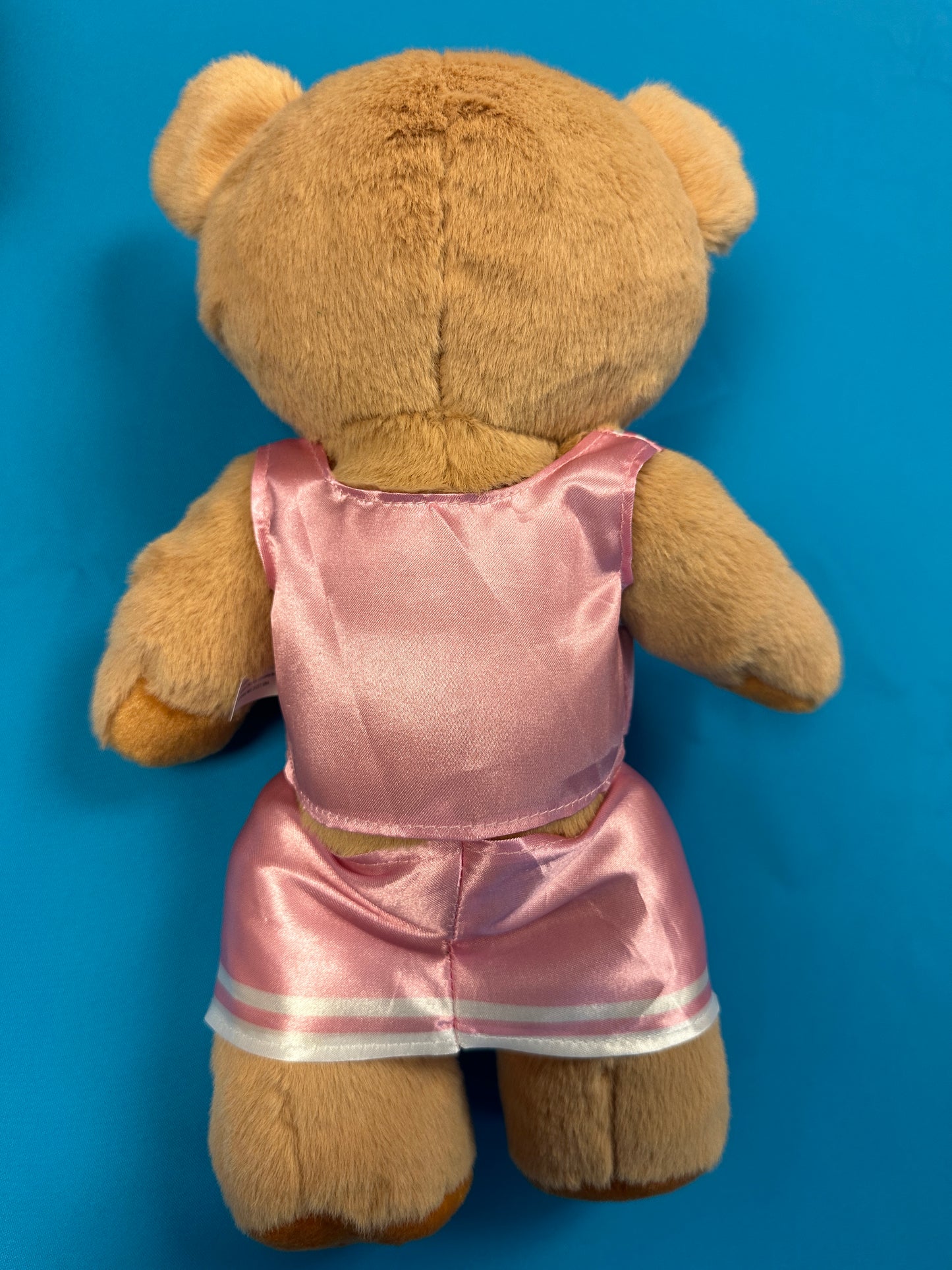 PRE-ORDER ONLY Large Cheer Bear - 12 Inch Cheer Bear customized with your name on the chest