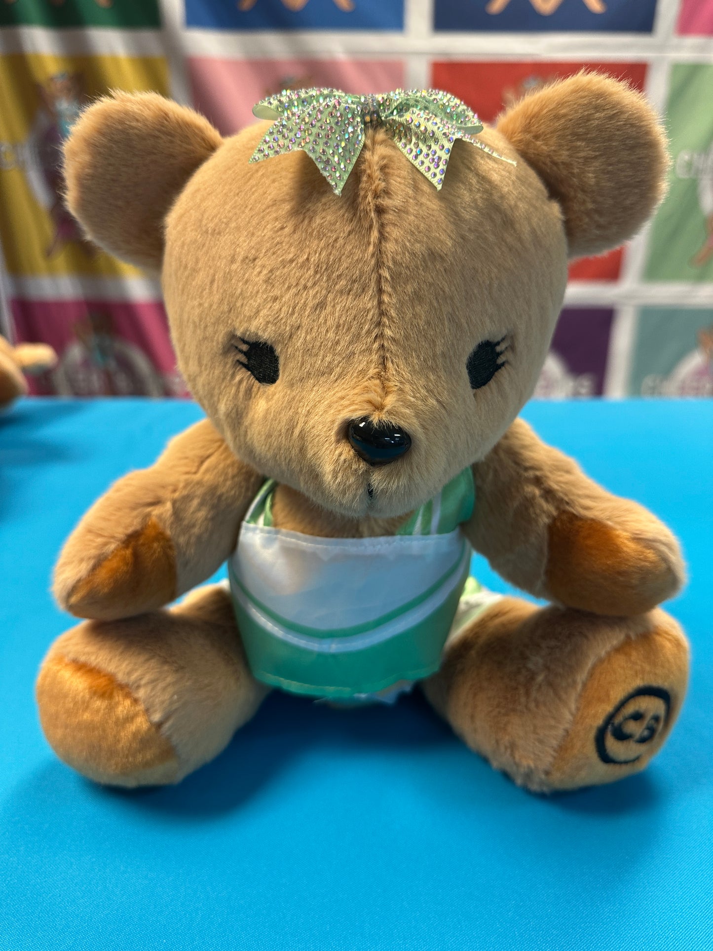 PRE-ORDER ONLY Large Cheer Bear - 12 Inch Cheer Bear customized with your name on the chest