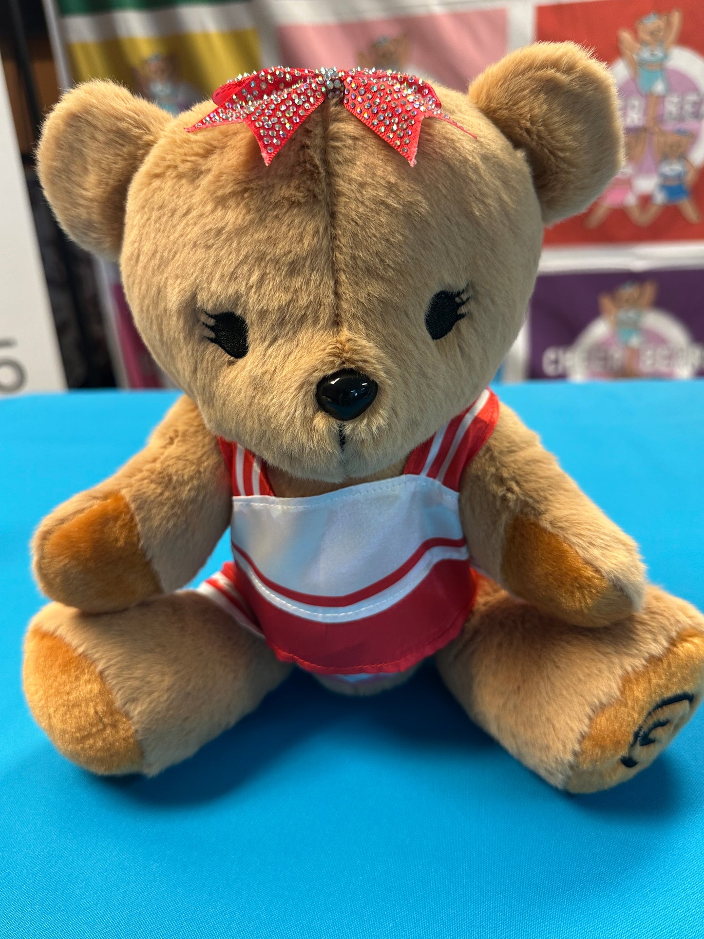 PRE-ORDER ONLY Large Cheer Bear - 12 Inch Cheer Bear customized with your name on the chest