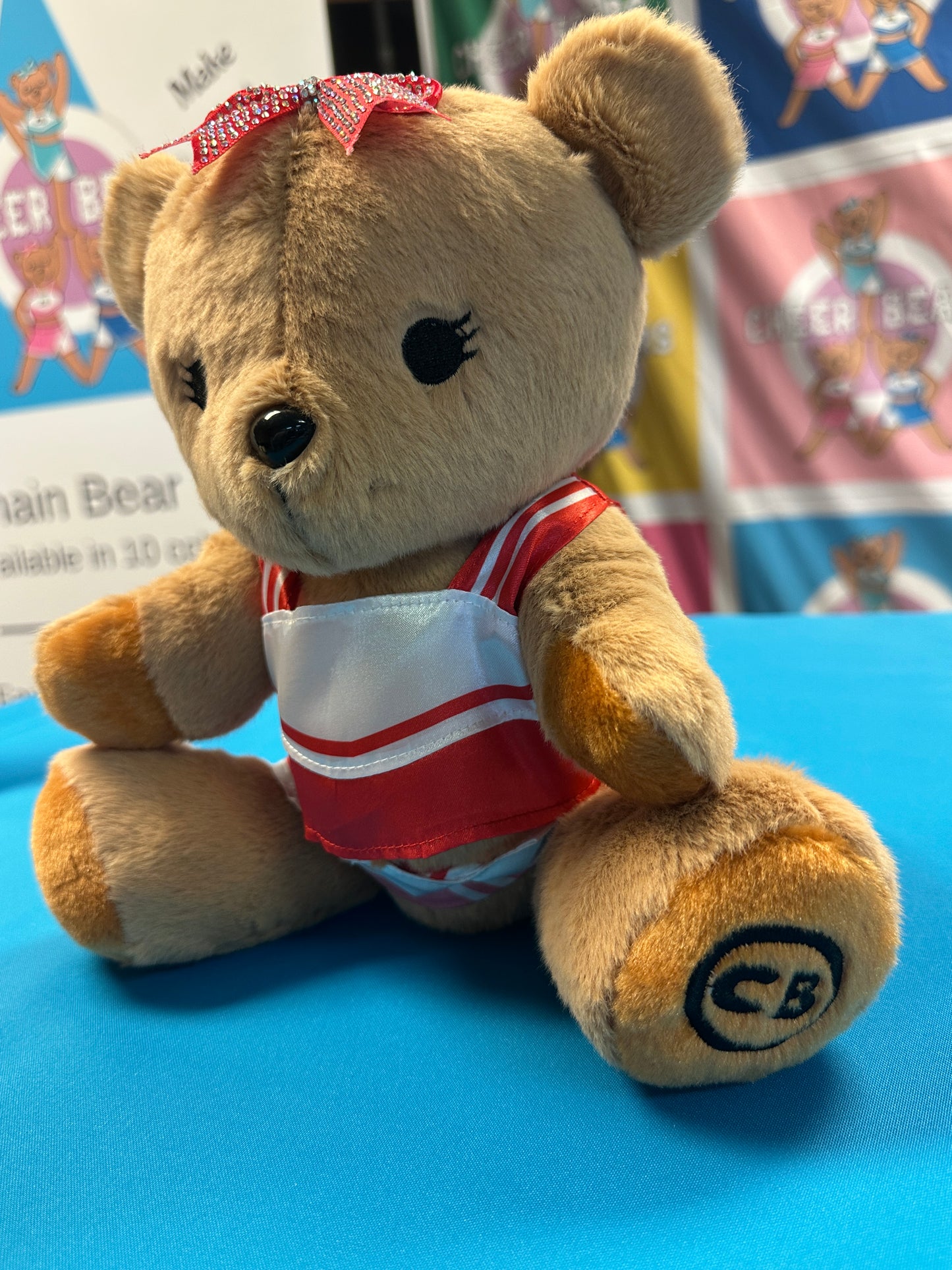 PRE-ORDER ONLY Large Cheer Bear - 12 Inch Cheer Bear customized with your name on the chest