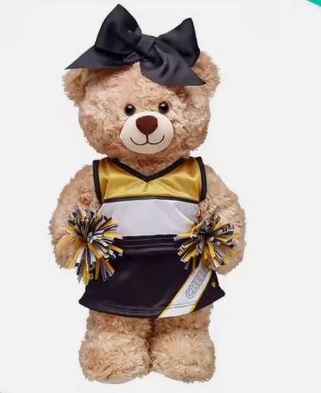 Large Cheer Bear 11-12 Inch Cheer Bear customized with your name on the chest